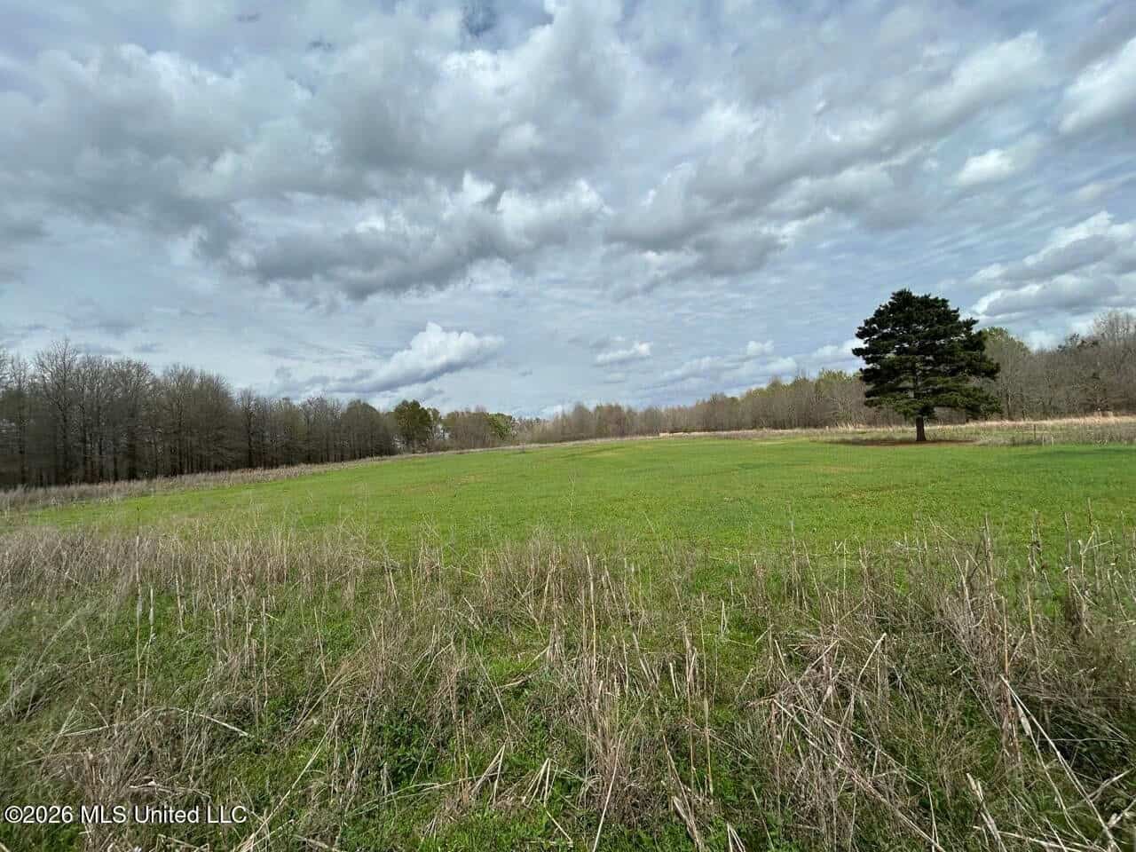 Boeuf Bend on Boeuf River North Louisiana Retreat