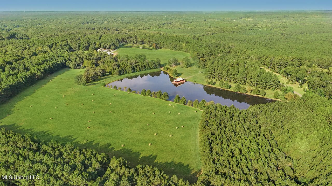 The Mississippi Retreat Near the LA/MS State Line