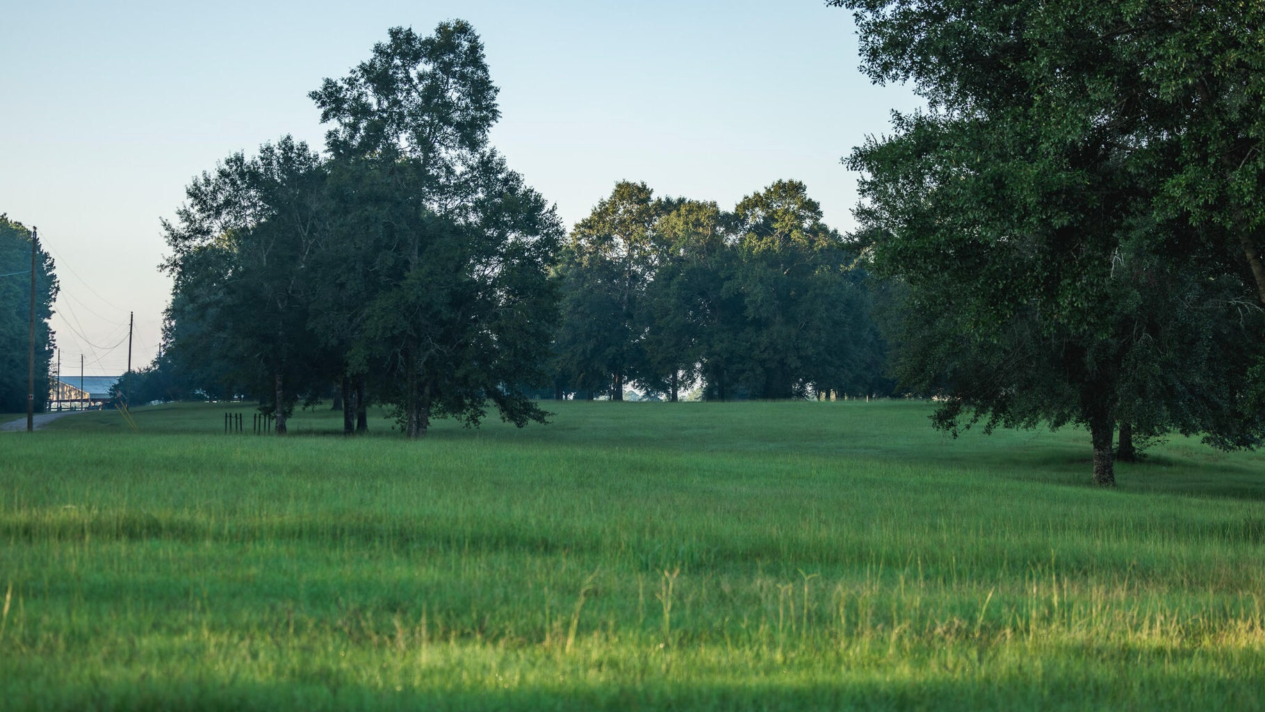 Golden Pines Ranch 235 Recreational Acres in Stone County MS