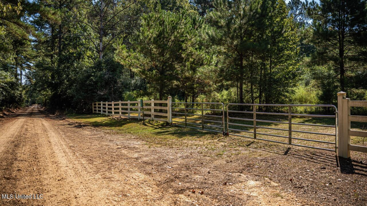 113 Acres Hunting Land with Home in Amite County, MS