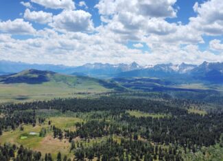 161 Acres San Juan Mountain Land for Sale in Placerville, CO