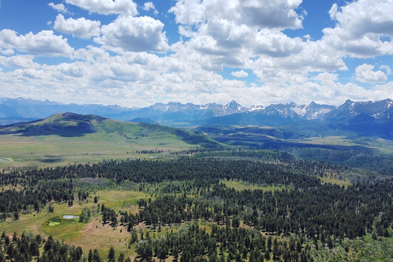 161 Acres San Juan Mountain Land for Sale in Placerville, CO