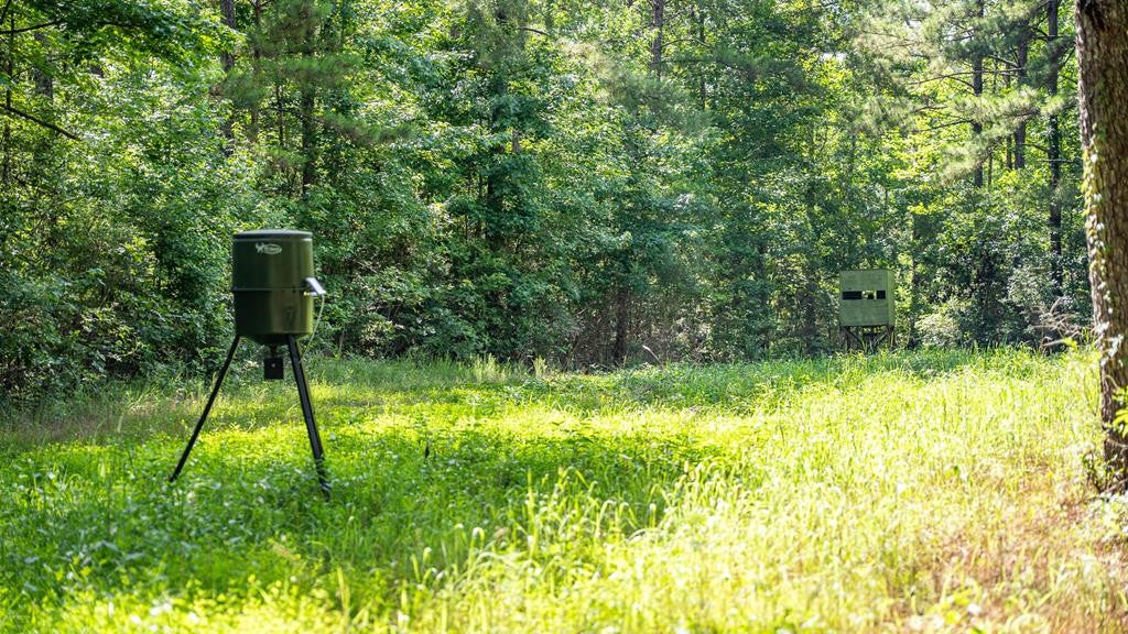Gloster 38 – Hunting Land in Amite County, Mississippi