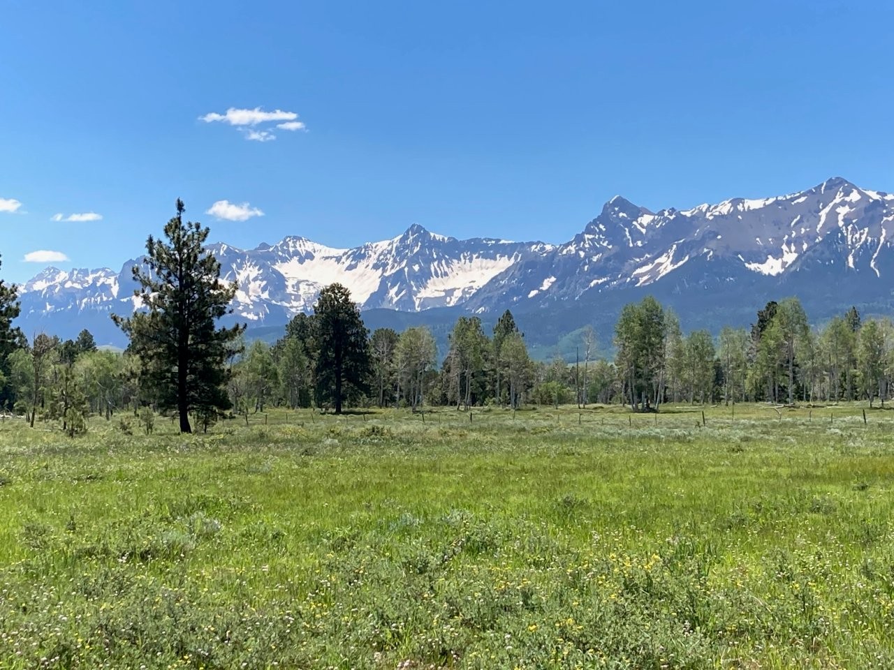 161 Acres San Juan Mountain Land for Sale in Placerville, CO