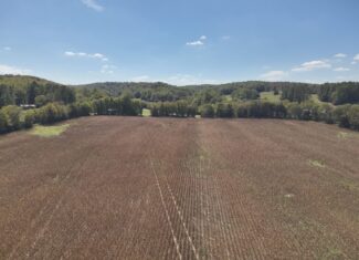 29.5 Acres of Land for Sale with Year Round Creek