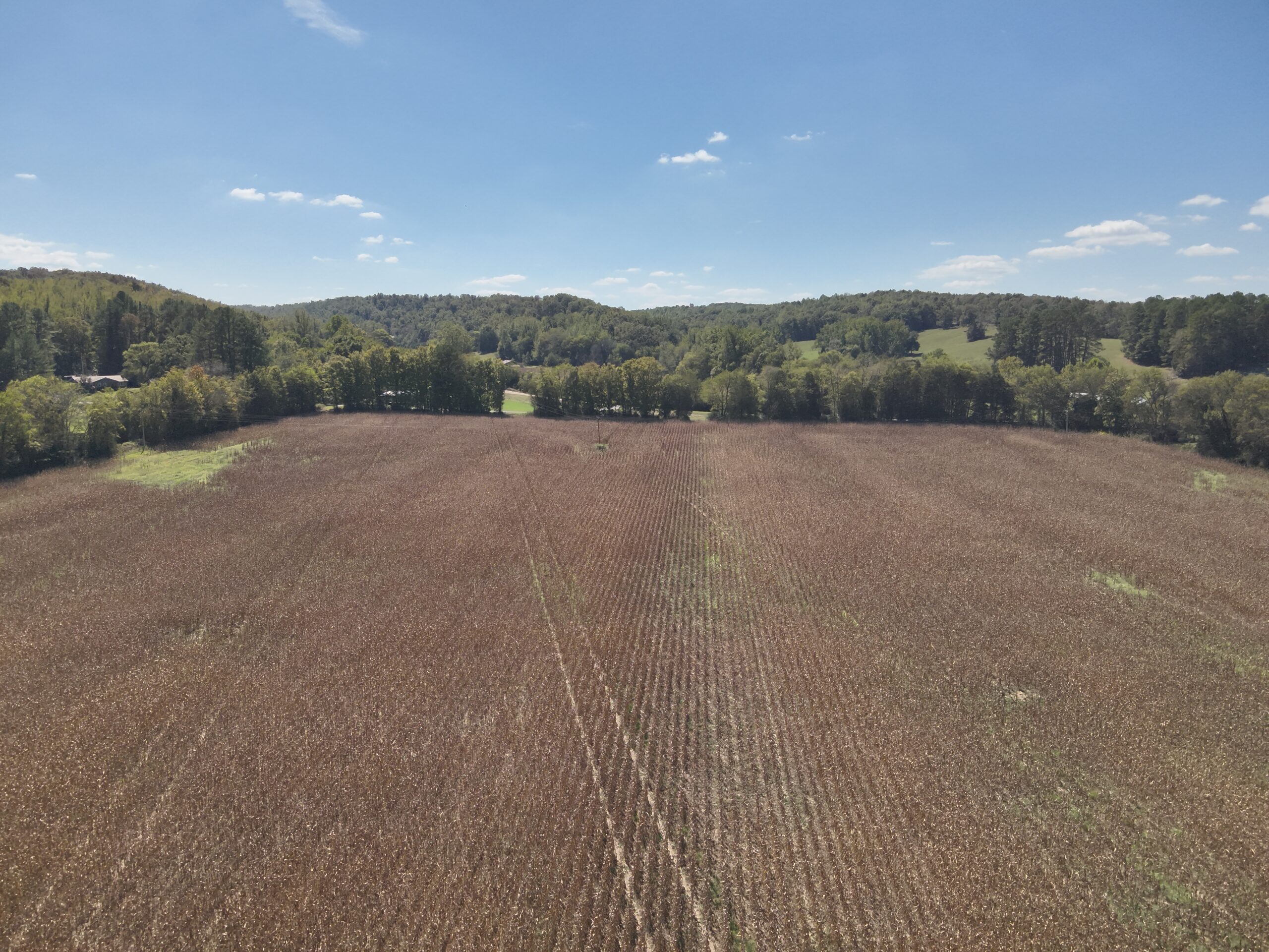 29.5 Acres of Land for Sale with Year Round Creek