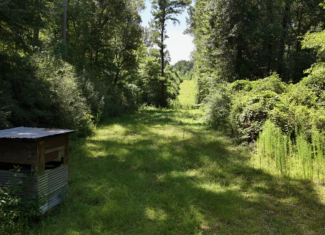 Hunting Property and Homesite in Jackson Parish LA