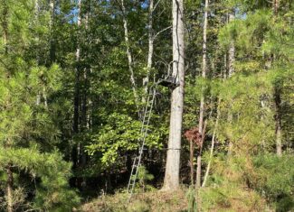 HUNTING CAMP FOR SALE IN TN. CABIN & STORAGE, 58 ACRES+/-