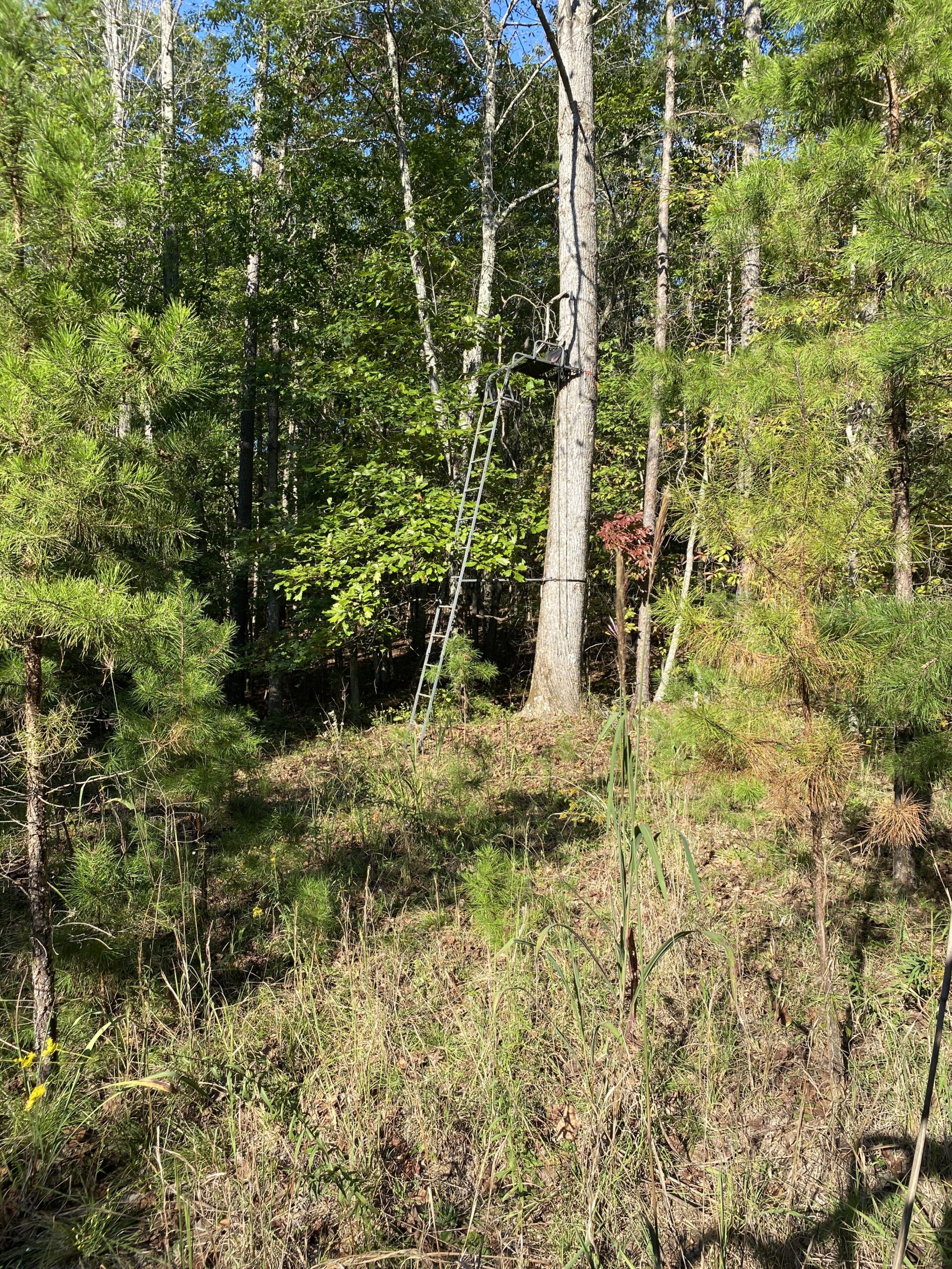 HUNTING CAMP FOR SALE IN TN. CABIN & STORAGE, 58 ACRES+/-