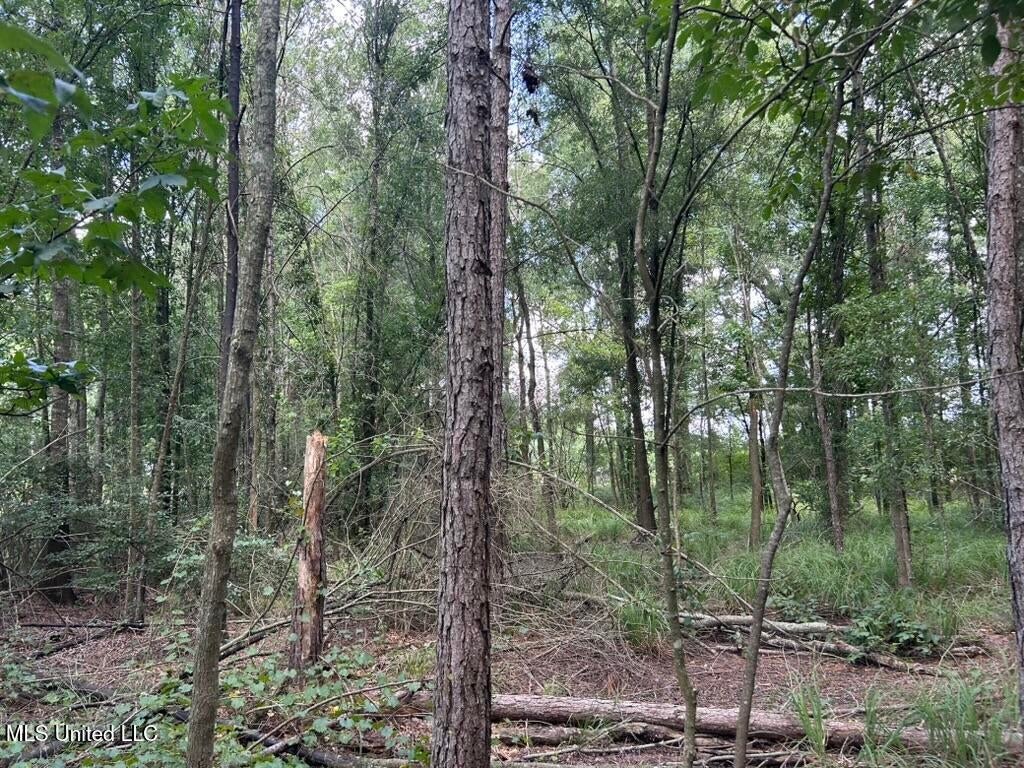 14+- Acre Homesite and Hunting Land for Sale Summit MS