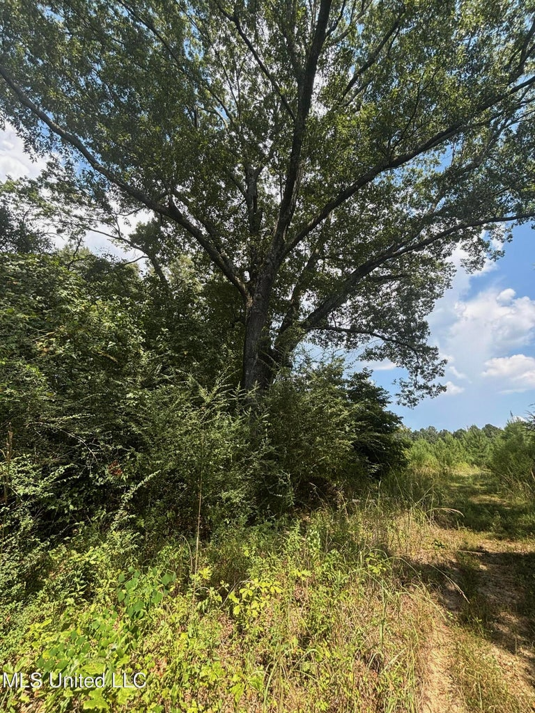 88 Acres for Sale in Hinds County Jackson, MS