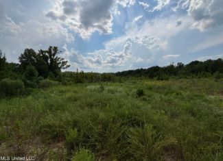 95 Acres for Sale in Hinds County Jackson, MS