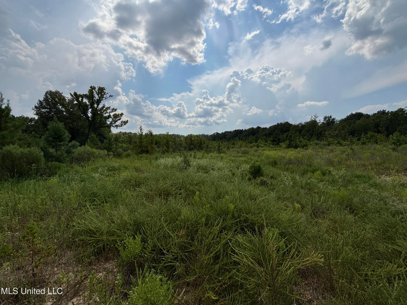 95 Acres for Sale in Hinds County Jackson, MS