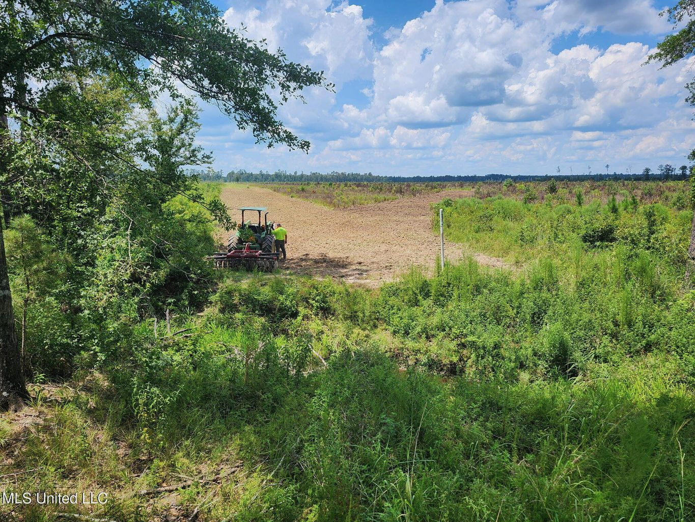 Land for Sale in Tangipahoa Parish, LA.