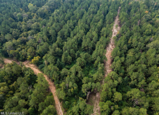 Ramsey Creek 67 Acres for Sale in Centreville, MS