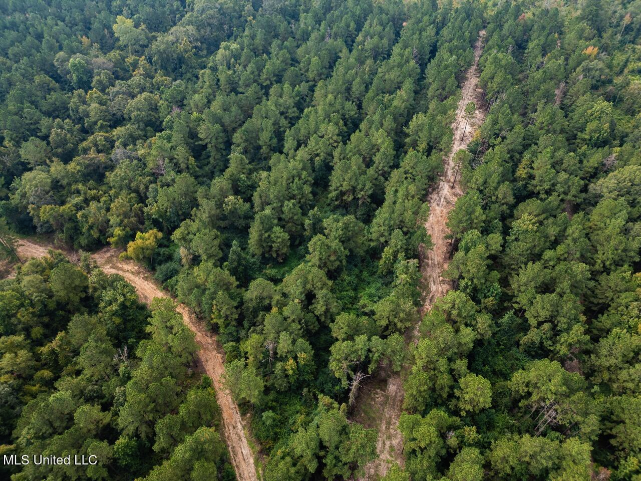 Ramsey Creek 67 Acres for Sale in Centreville, MS