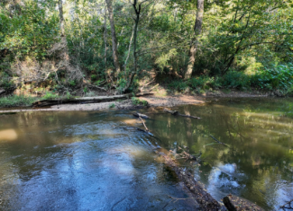 30 Acre Amite River Hunting Tract Amite County MS