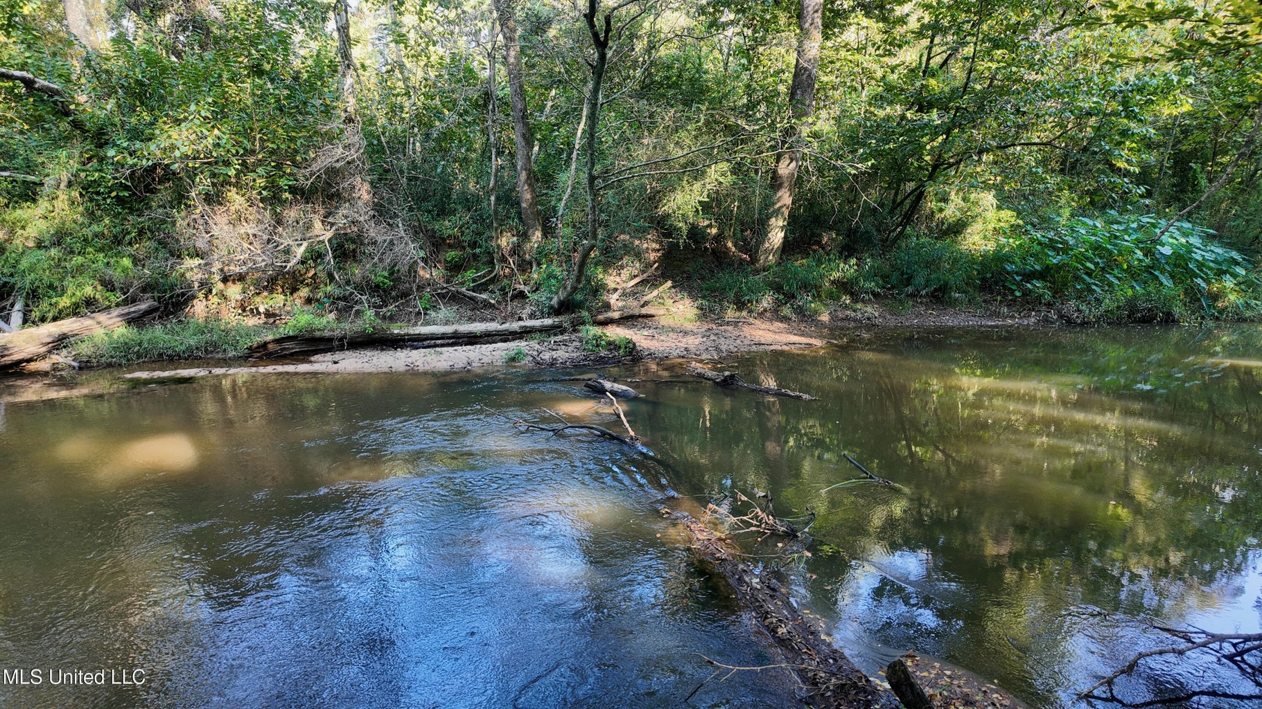 30 Acre Amite River Hunting Tract Amite County MS