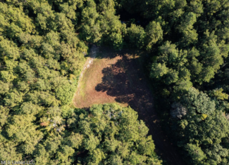 113 Acres Hunting Land with Home in Amite County, MS