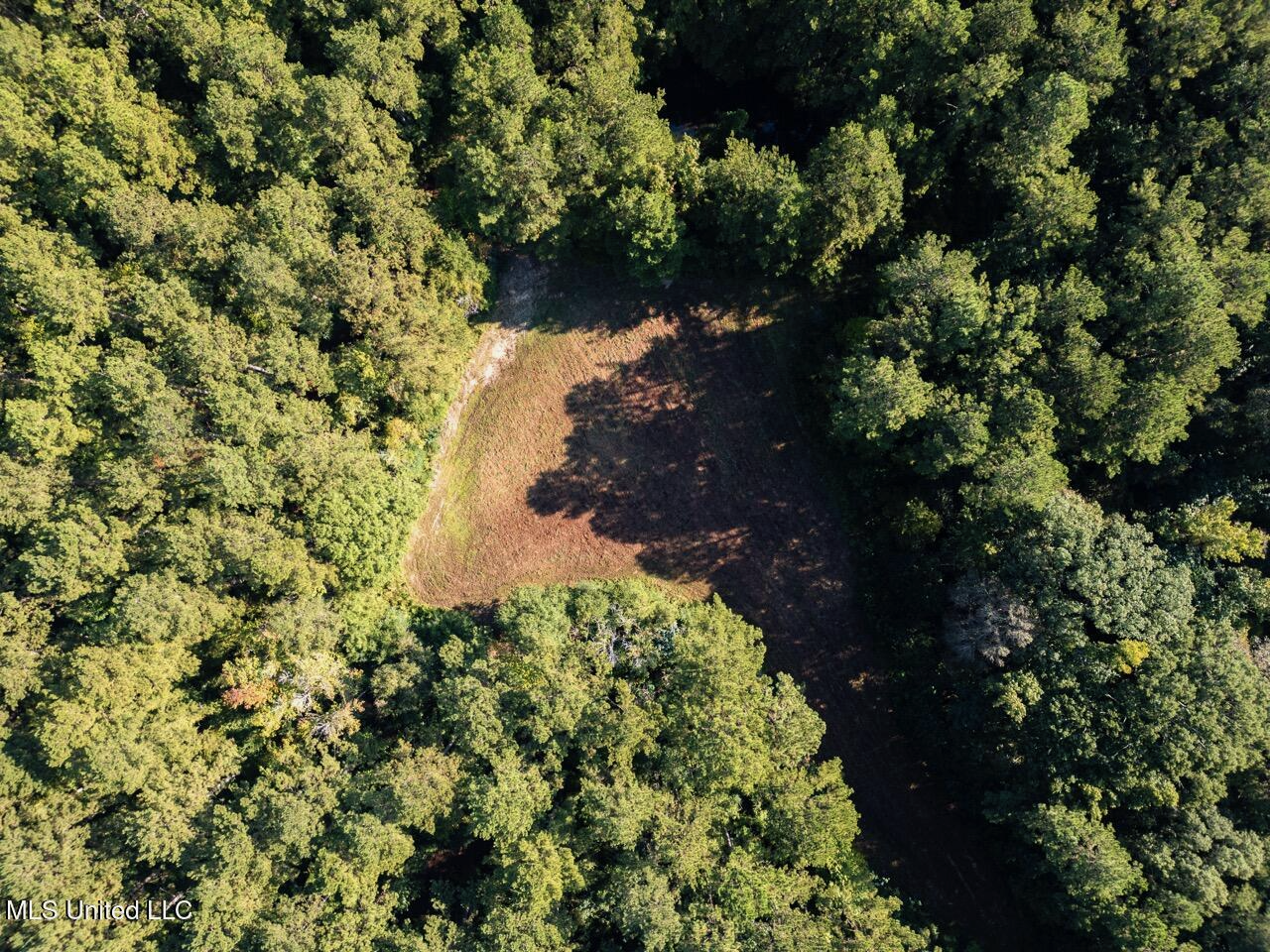113 Acres Hunting Land with Home in Amite County, MS