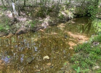 LAND FOR SALE IN TN, CREEKS, OPEN LAND, WOODED, CITY WATER