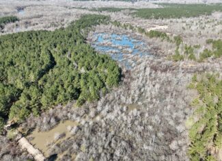 Duck, Deer, and Fishing Land for Sale on Little River