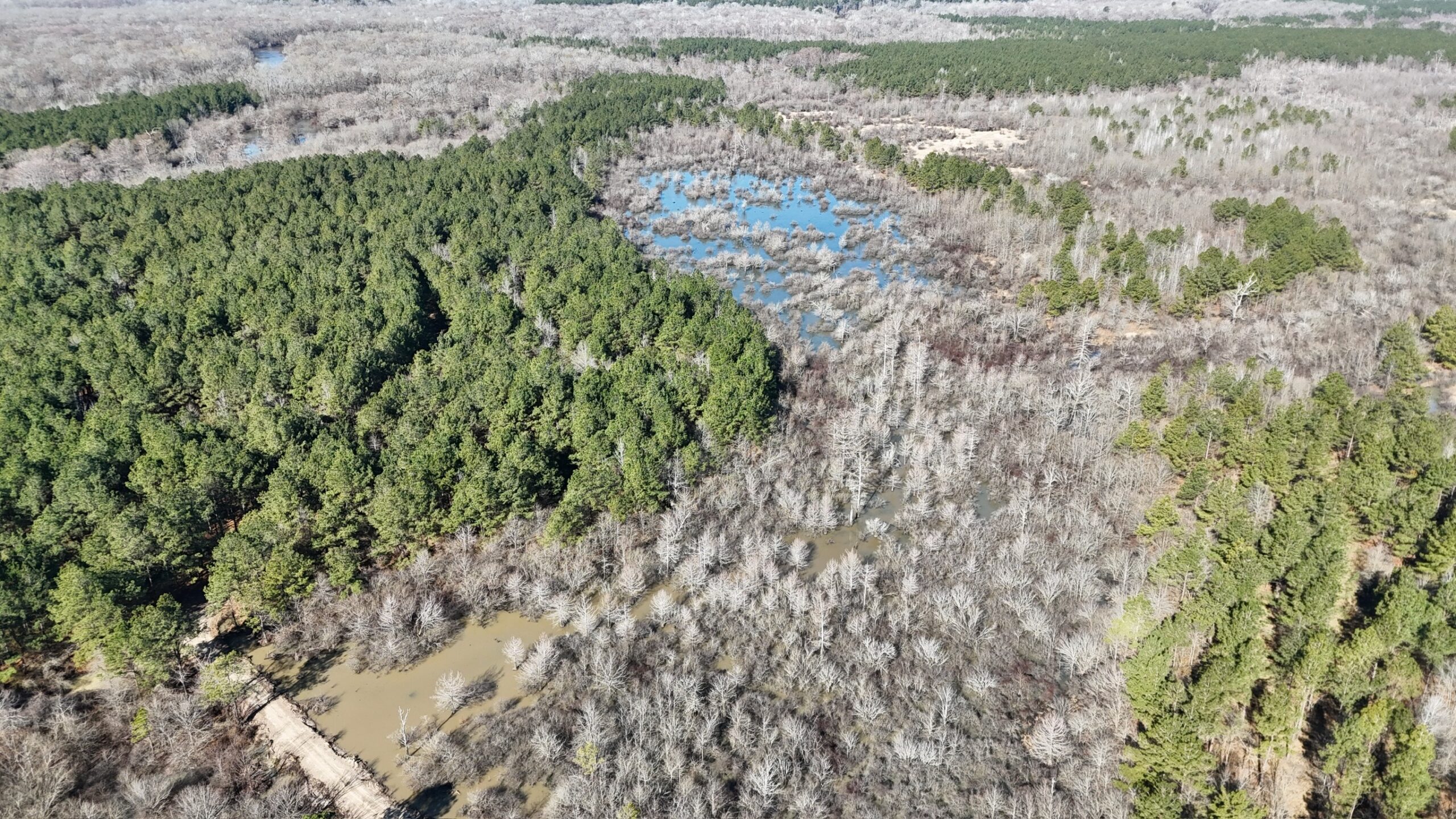 Duck, Deer, and Fishing Land for Sale on Little River