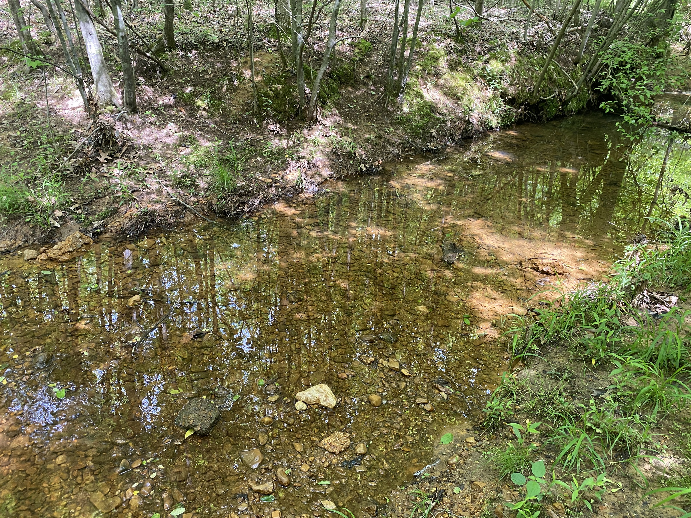 LAND FOR SALE IN TN, CREEKS, OPEN LAND, WOODED, CITY WATER