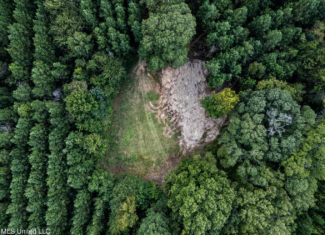 302 Acres in Hermanville, Claiborne County, MS Land