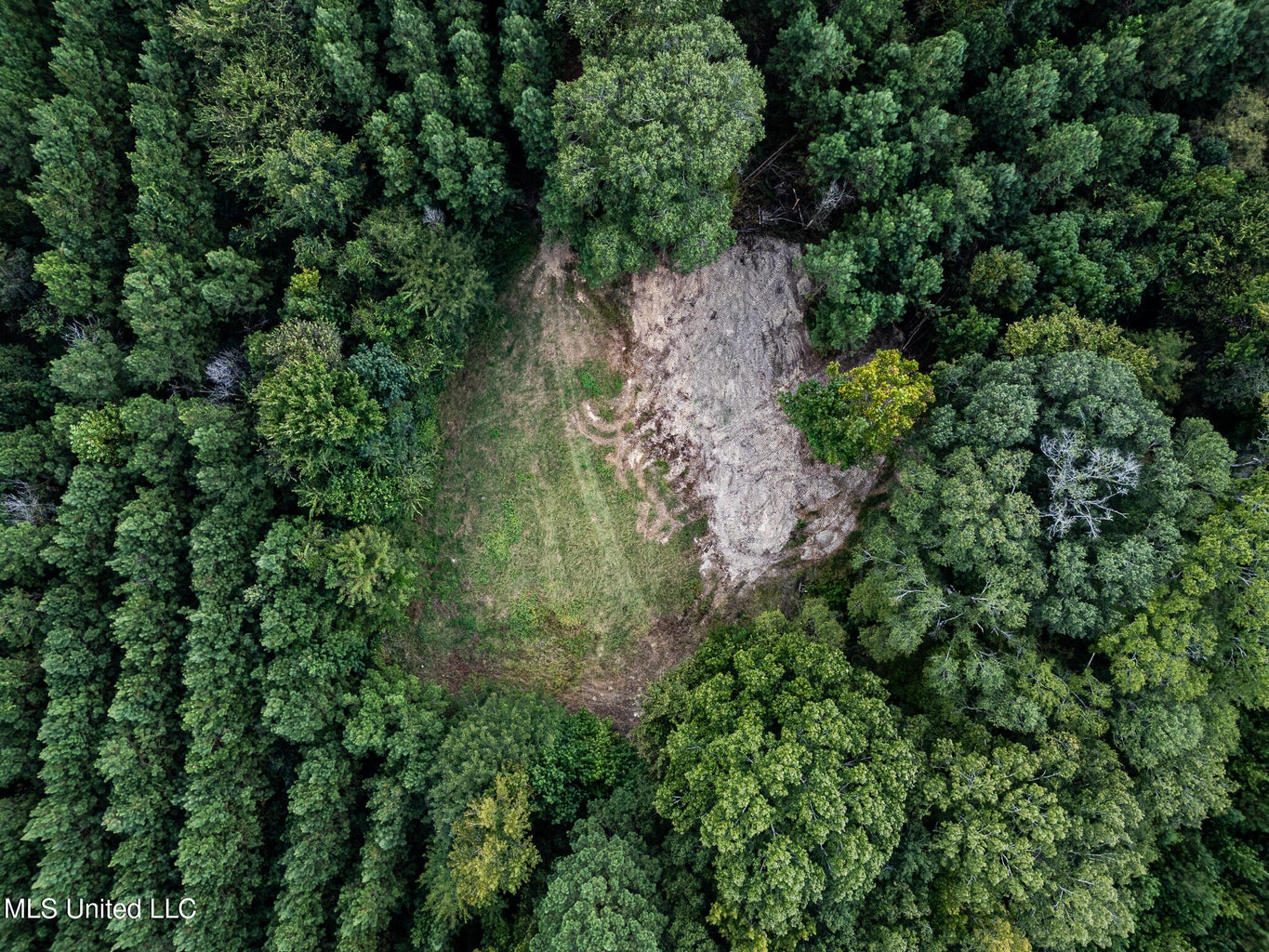 302 Acres in Hermanville, Claiborne County, MS Land