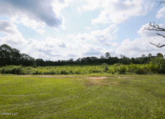 Land for Sale in Lincoln County, MS