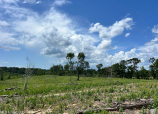 Land for Sale in Amite County, MS