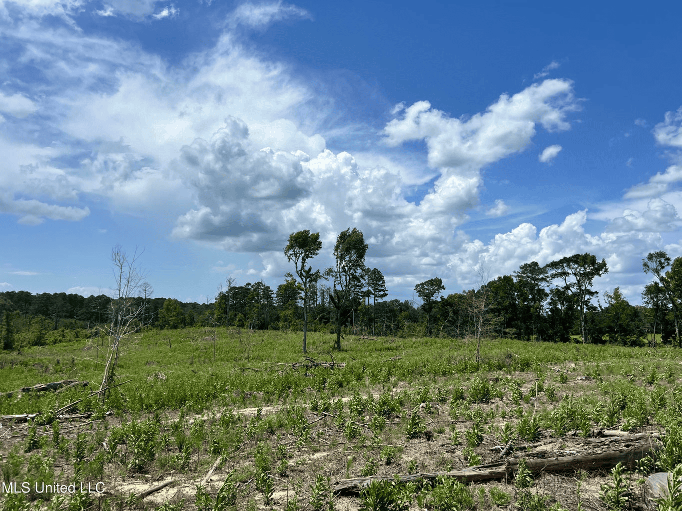 Land for Sale in Amite County, MS
