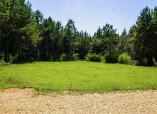Magnolia MS 18.19 Acres with Mobile Home & Hunting Land