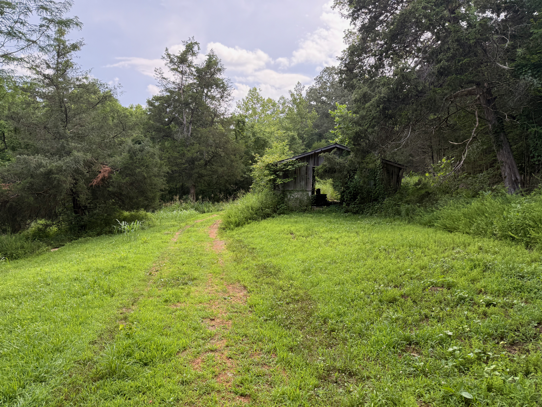 DEER HUNTING PROPERTY FOR SALE IN TN