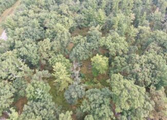 40 acres just north of Wisconsin Dells with abundant deer & turkey habitat