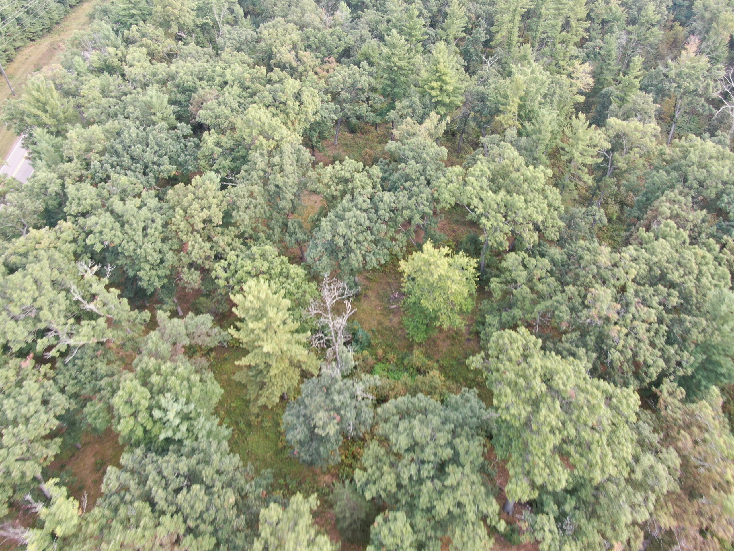 40 acres just north of Wisconsin Dells with abundant deer & turkey habitat