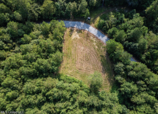 Hunting Land for Sale in Copiah County MS – Dixie Garden 46