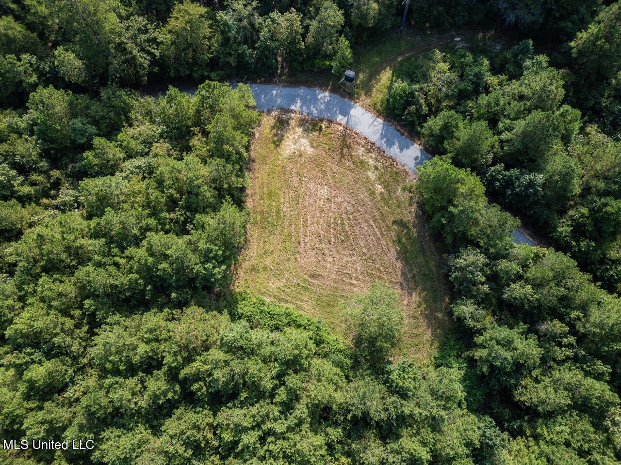 Hunting Land for Sale in Copiah County MS – Dixie Garden 46