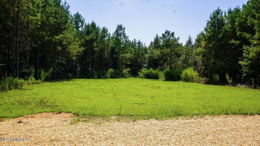Magnolia MS 18.19 Acres with Mobile Home & Hunting Land