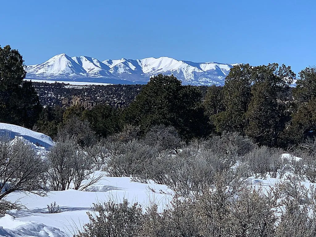ATTENTION COLORADO AND UTAH HUNTERS!!!