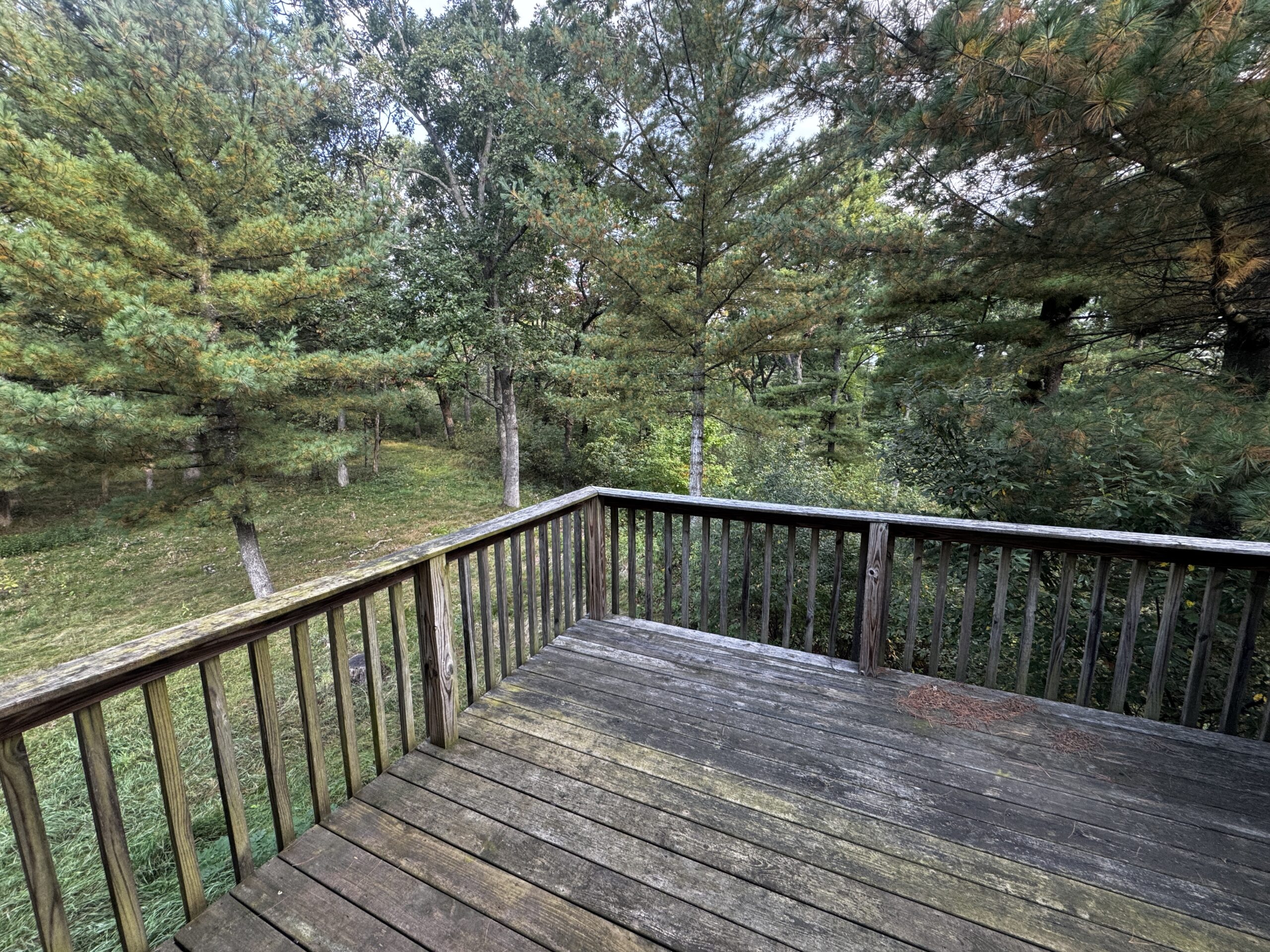 40 acres just north of Wisconsin Dells with abundant deer & turkey habitat