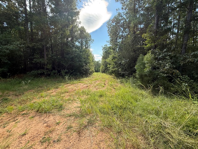Thomaston Family Hunting and Homesite