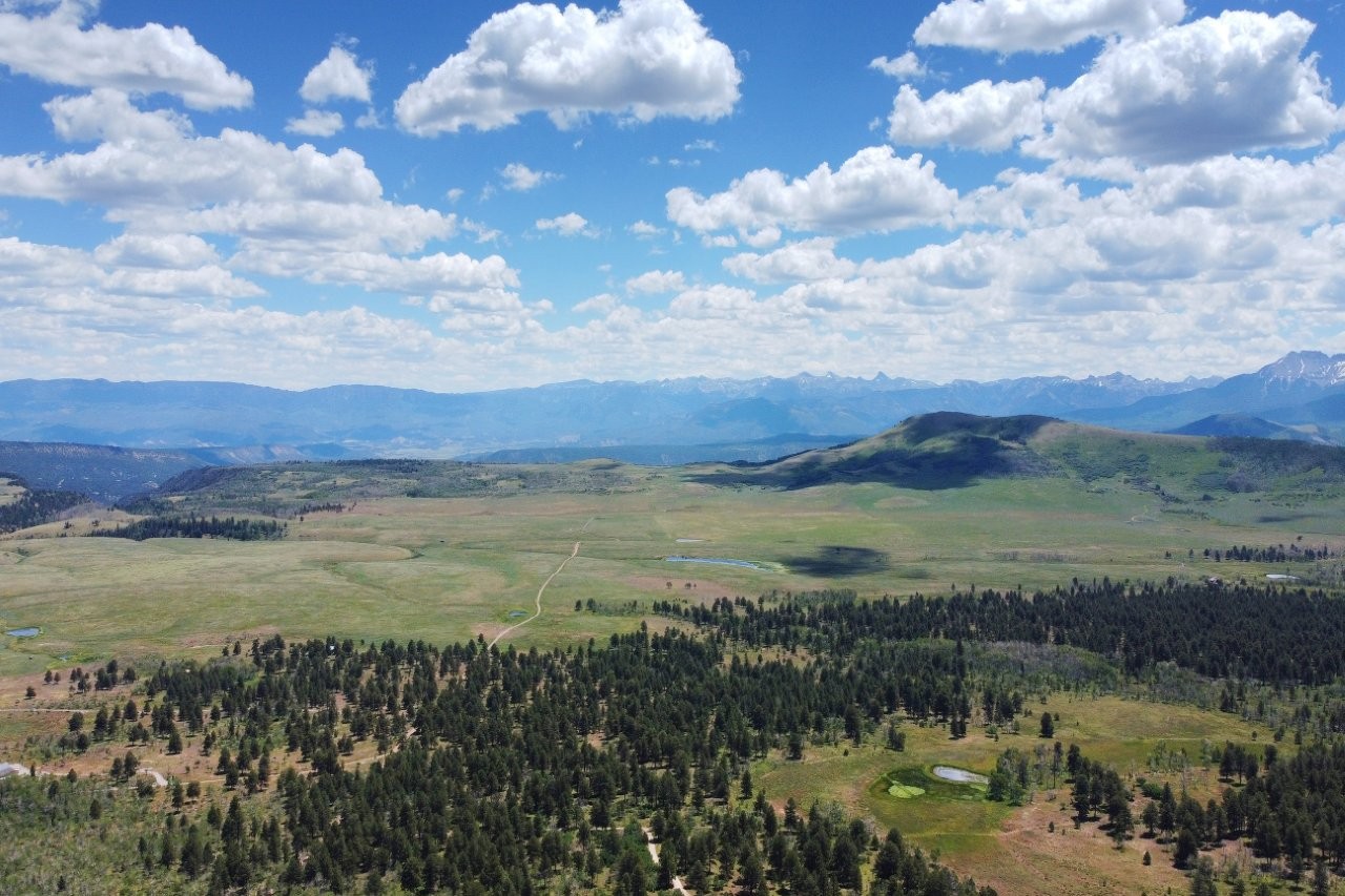 161 Acres San Juan Mountain Land for Sale in Placerville, CO