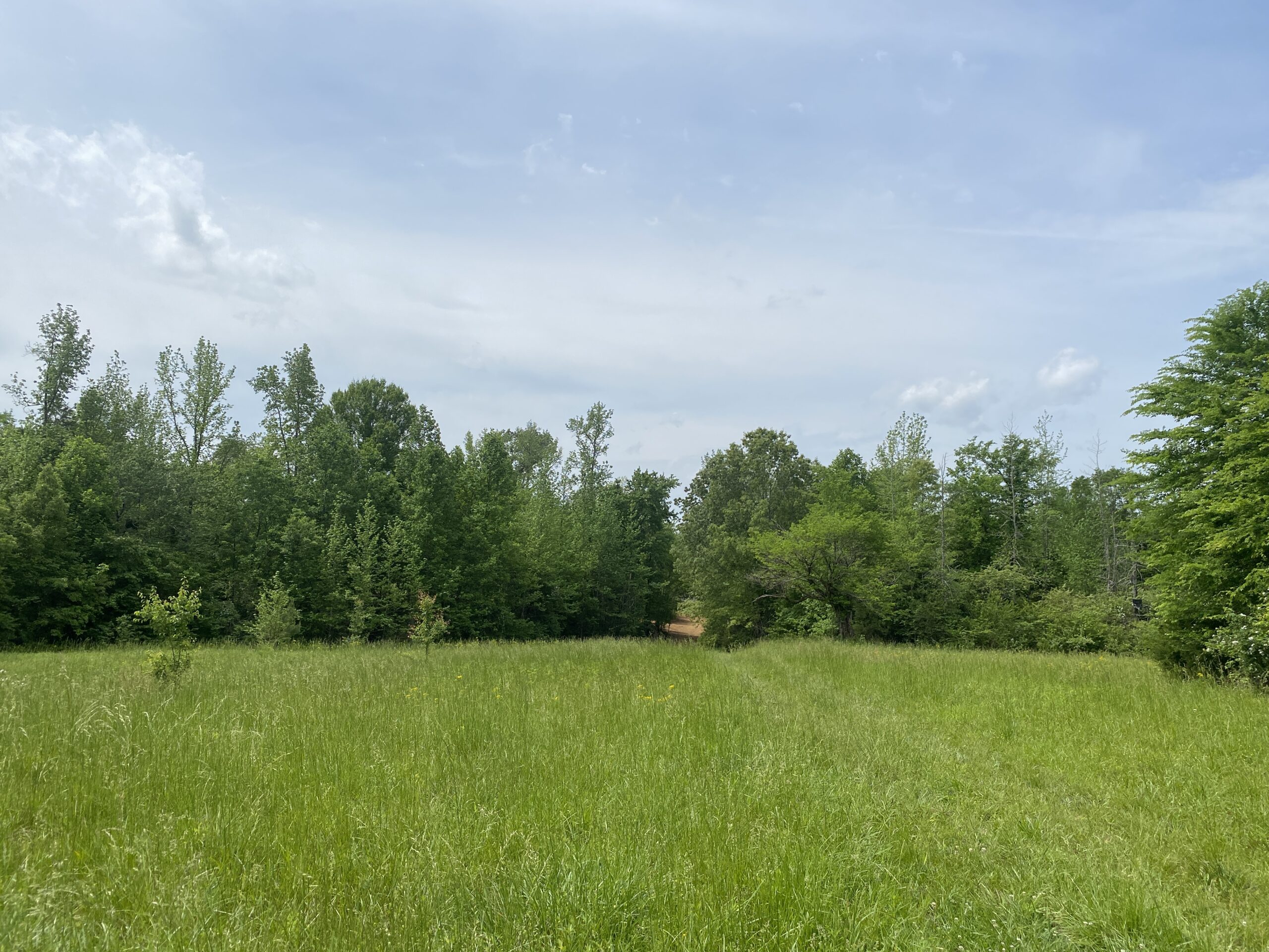 LAND FOR SALE IN TN, CREEKS, OPEN LAND, WOODED, CITY WATER