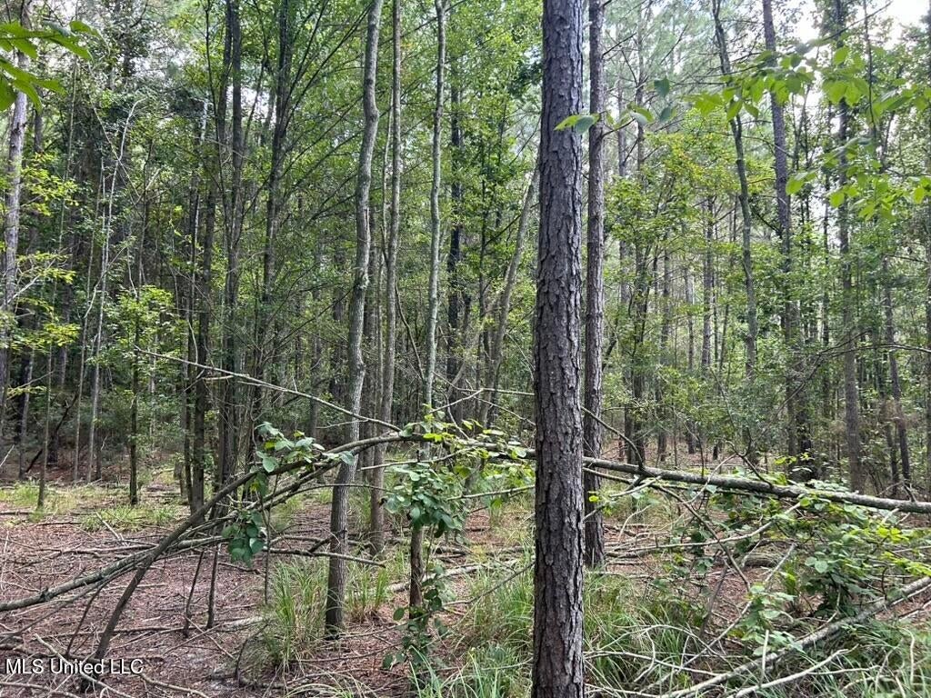 14+- Acre Homesite and Hunting Land for Sale Summit MS