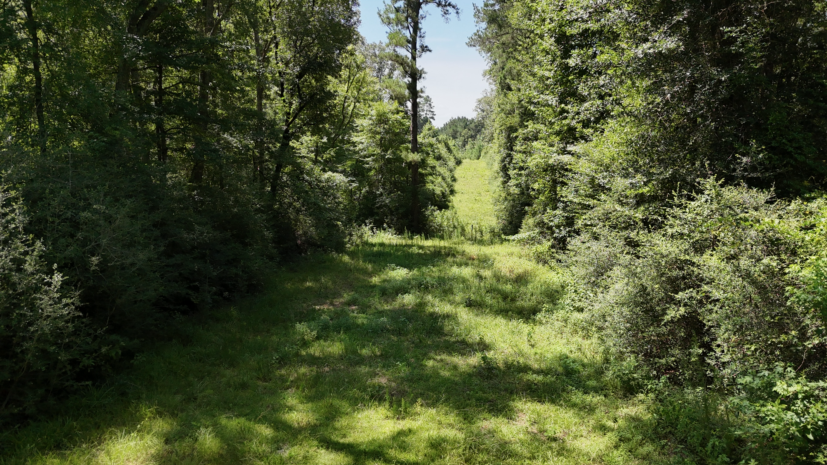 Hunting Property and Homesite in Jackson Parish LA