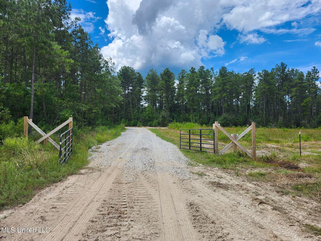 Land for Sale in Tangipahoa Parish, LA.