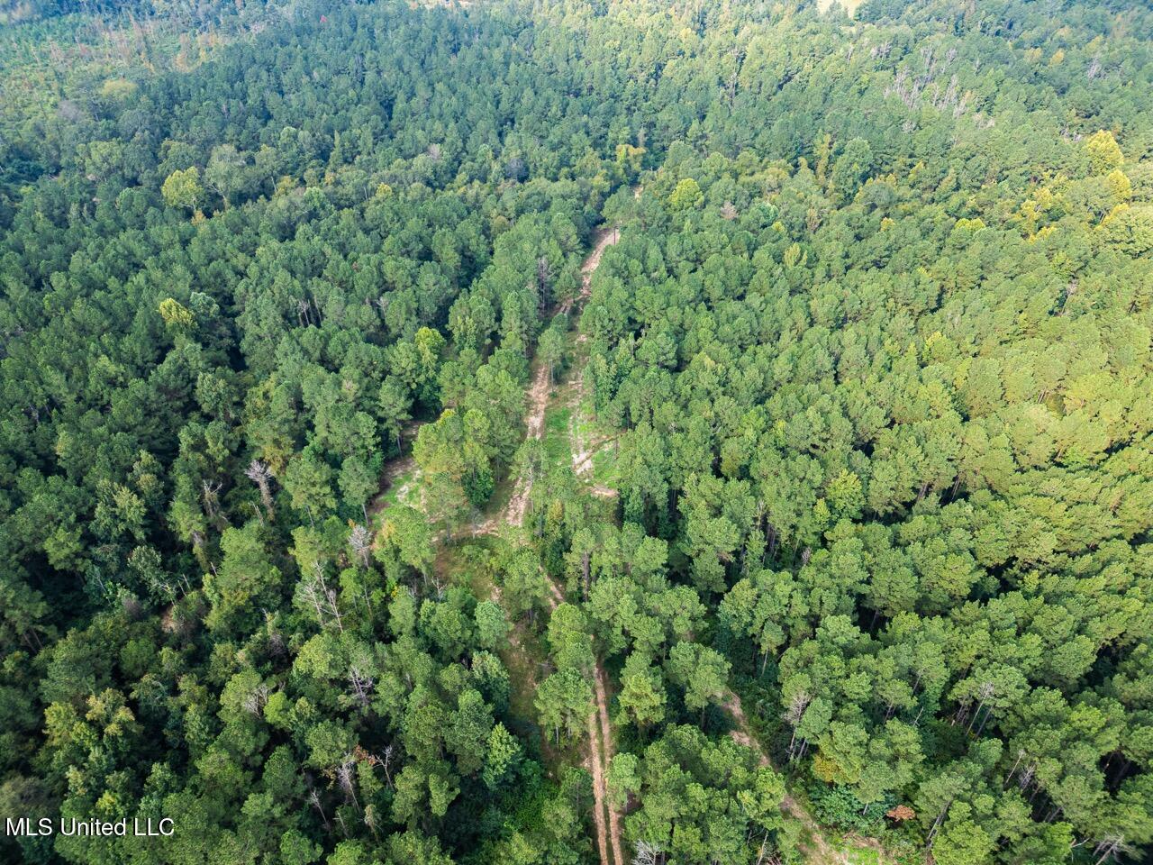 Ramsey Creek 67 Acres for Sale in Centreville, MS