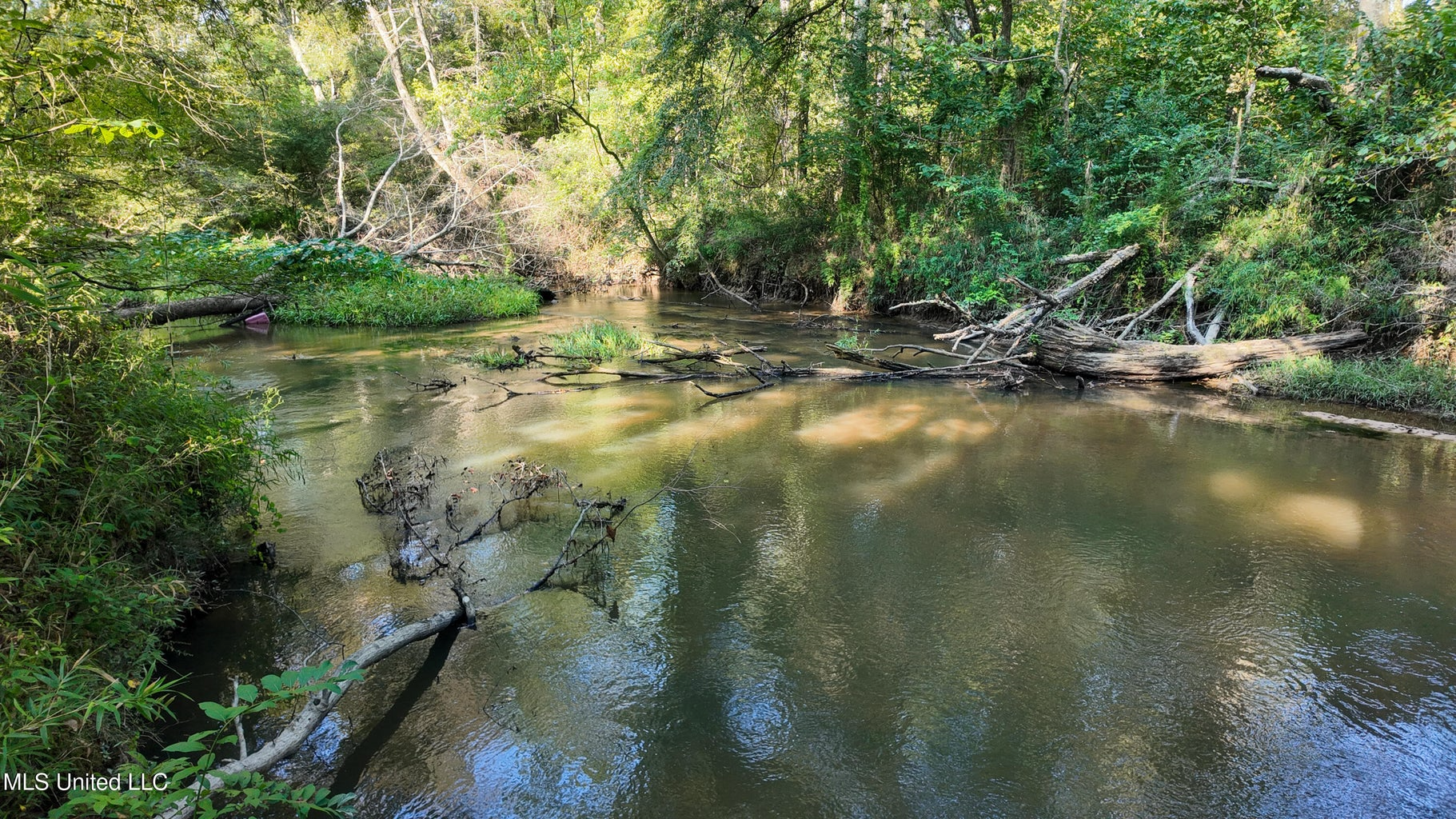 30 Acre Amite River Hunting Tract Amite County MS